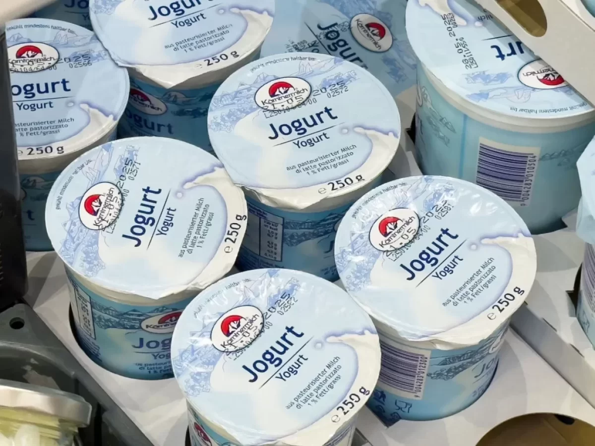 Bílé jogurty v obchodě