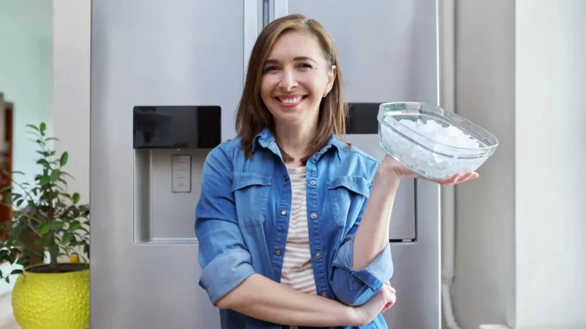 Žena držící mísu s připraveným ledem.
