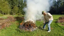 Muž pálí na zaradě listí
