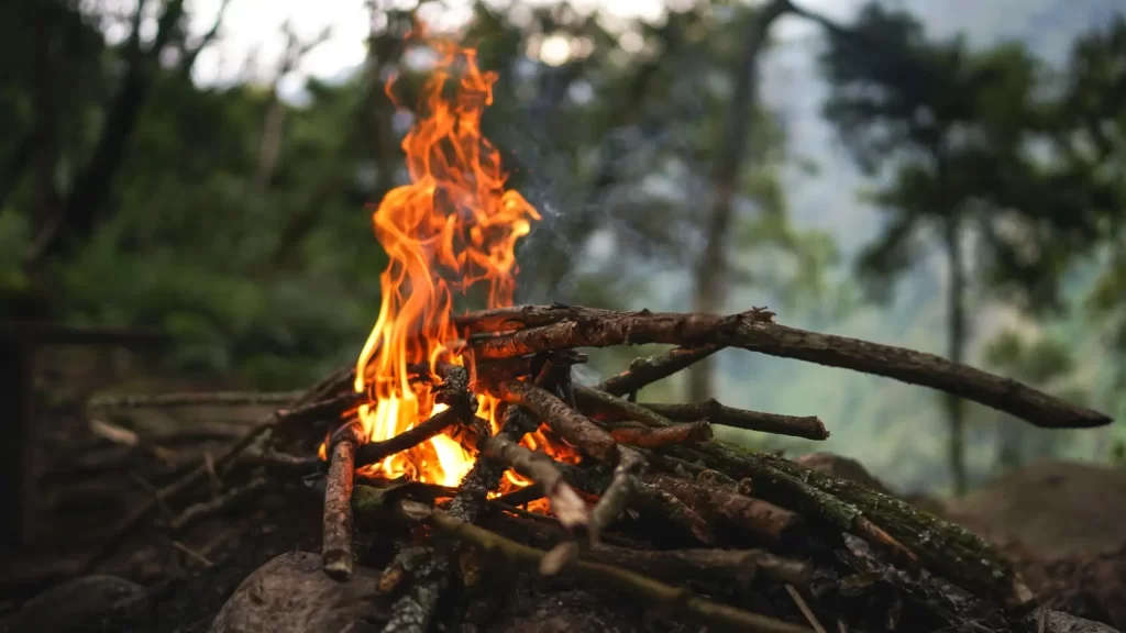 ohen3 - Techsvět Detailní záběr na hořící ohniště uprostřed přírody.