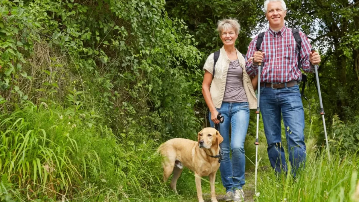 Starší pár na procházce v přírodě. Muž a žena kráčí po lesní cestě, mají batohy a nordic walkingové hole. Žena vede na vodítku světlého labradora. Všichni