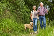 Starší pár na procházce v přírodě. Muž a žena kráčí po lesní cestě, mají batohy a nordic walkingové hole. Žena vede na vodítku světlého labradora. Všichni