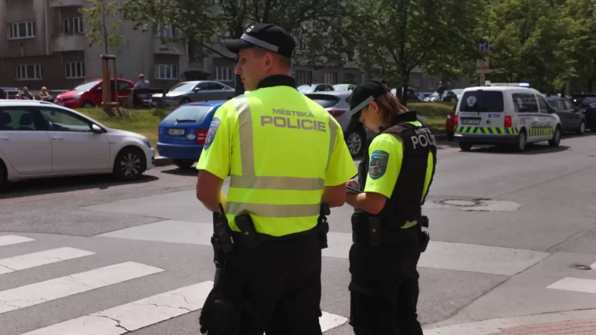 Policie u přechodu