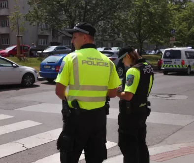 Policie u přechodu