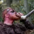 Viking