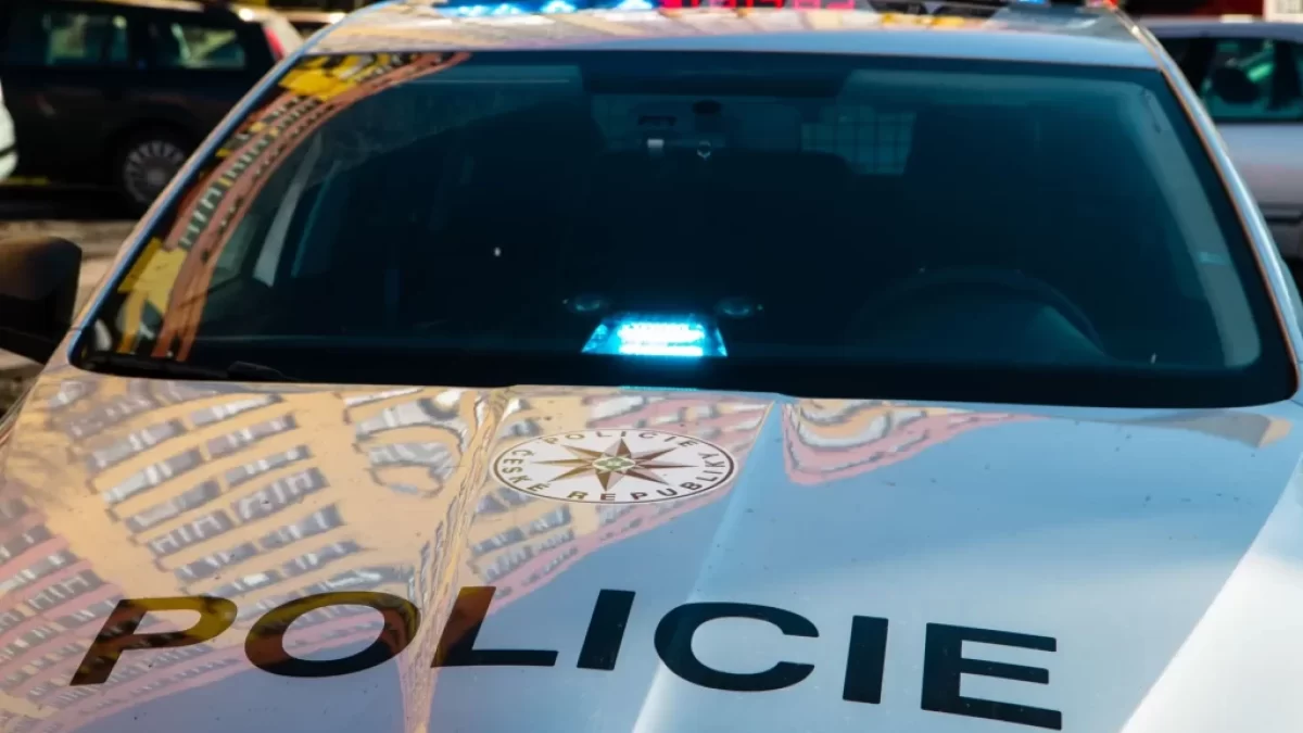 Policejní auto