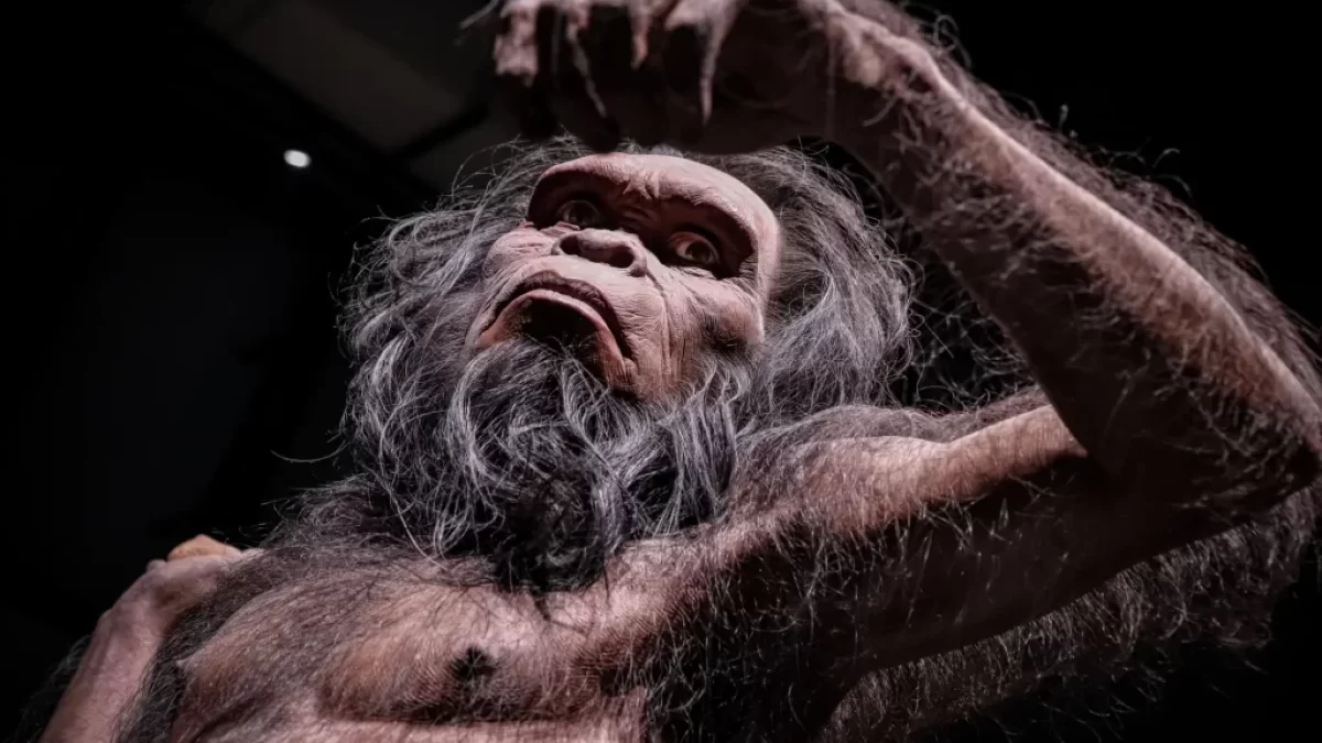 Denisovan