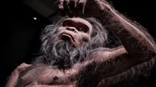 Denisovan