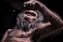 Denisovan