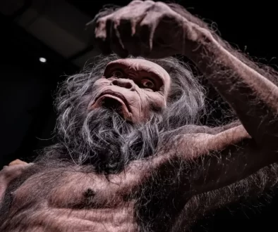 Denisovan