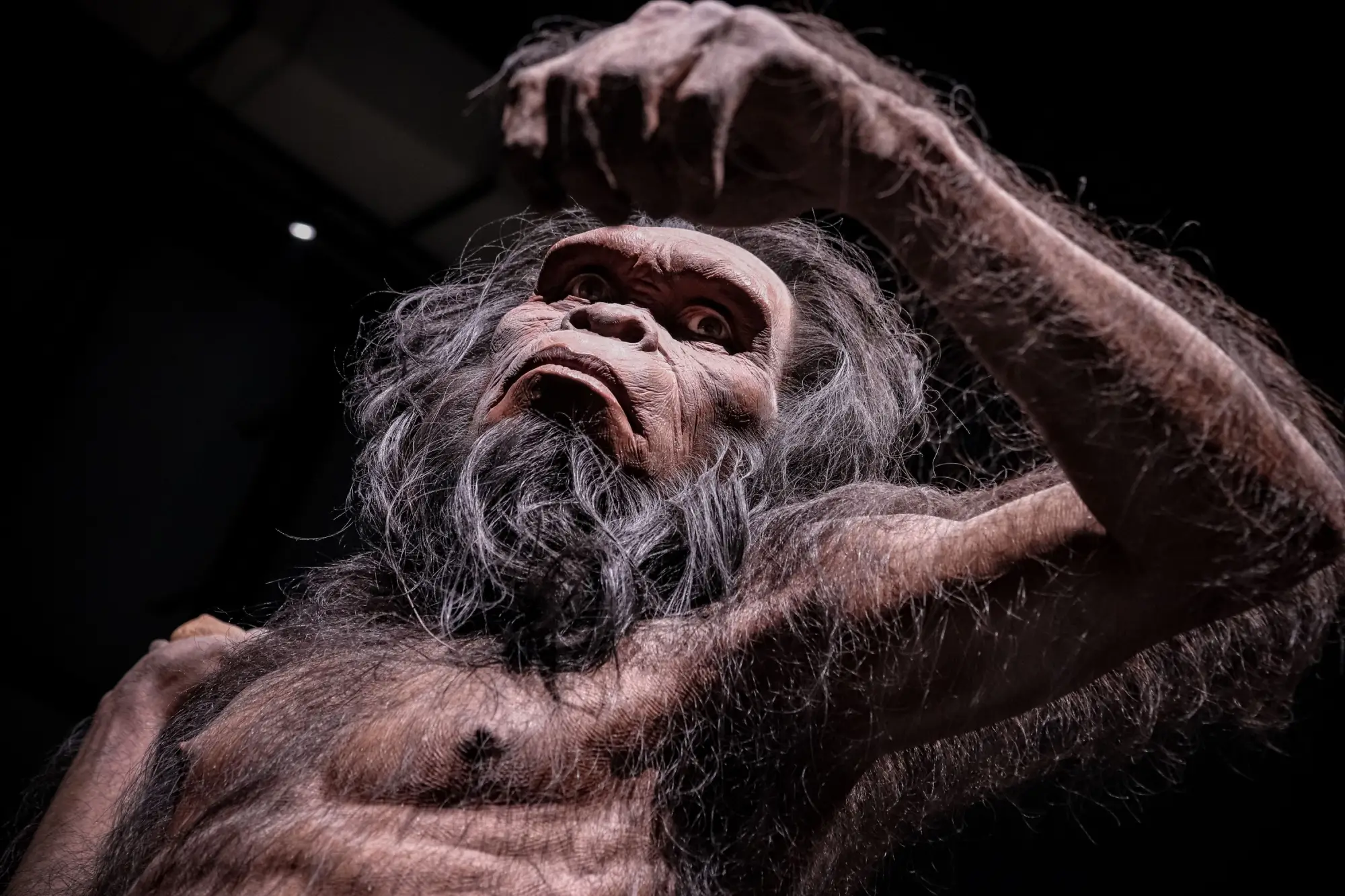 Denisovan