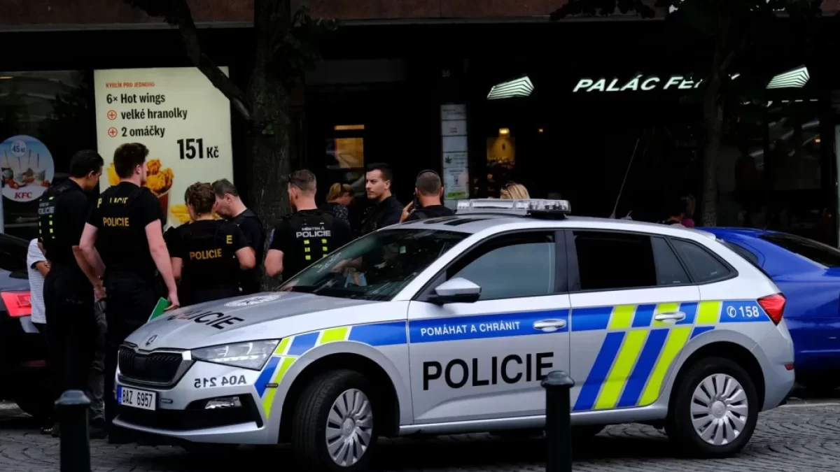 Policejní auto