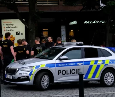 Policejní auto