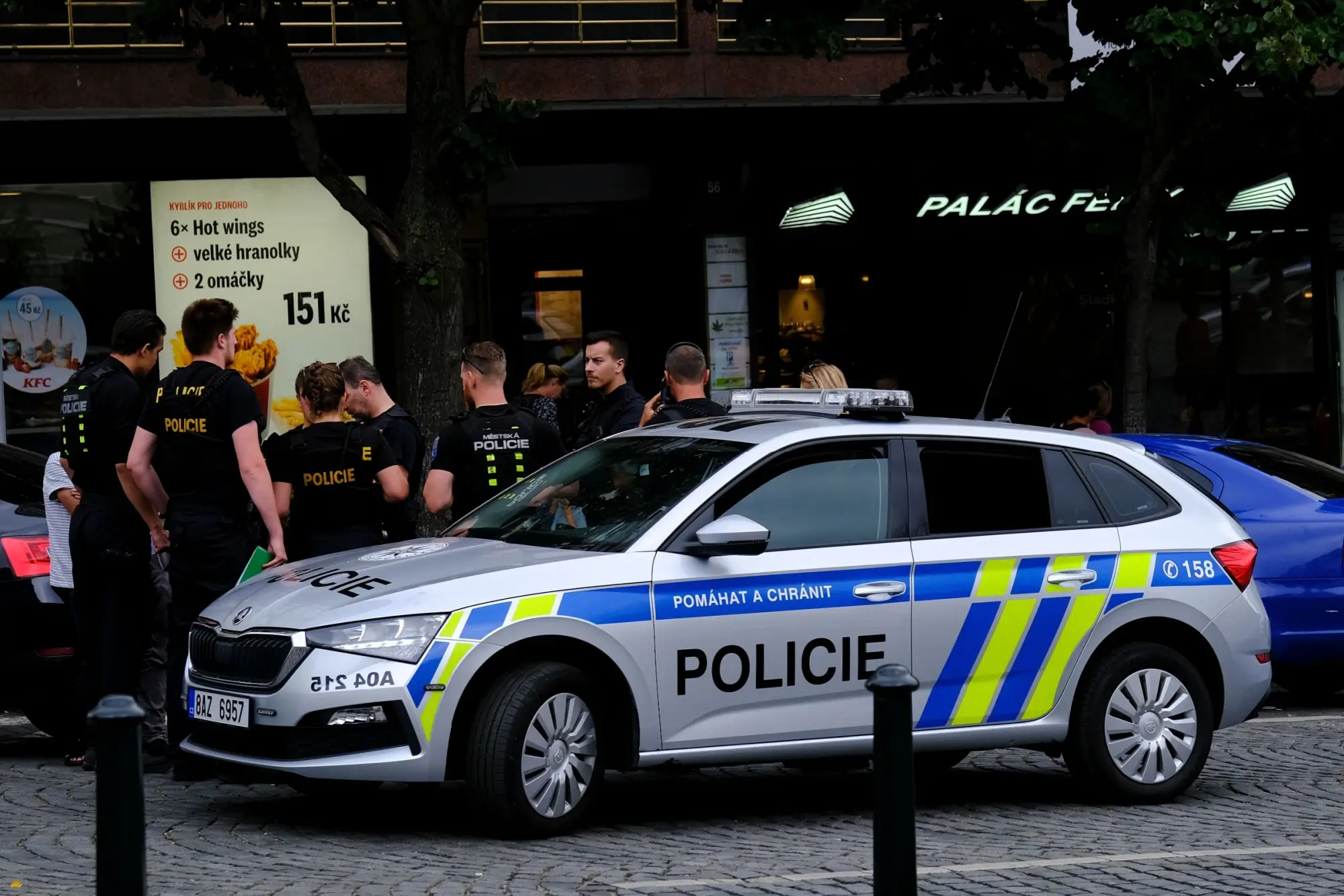 Policejní auto