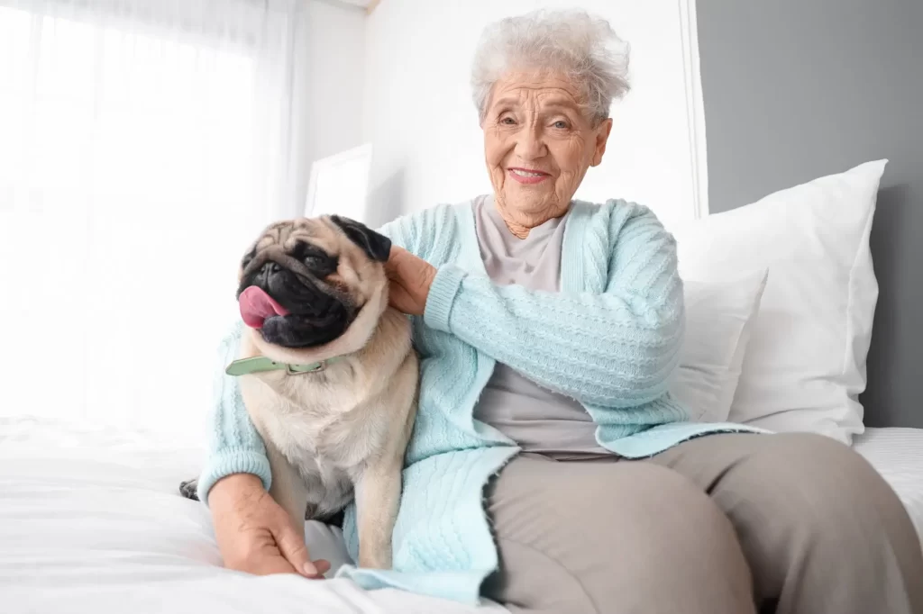 Shutterstock_2399723229 - Techsvět Seniorka s mopsem