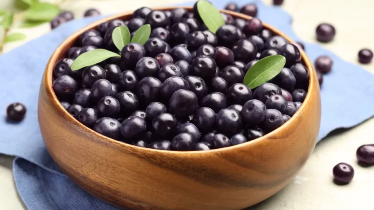 bobule acai