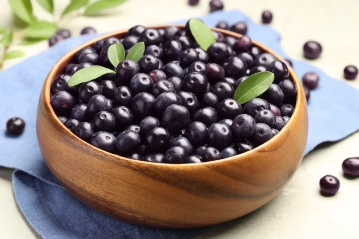 bobule acai