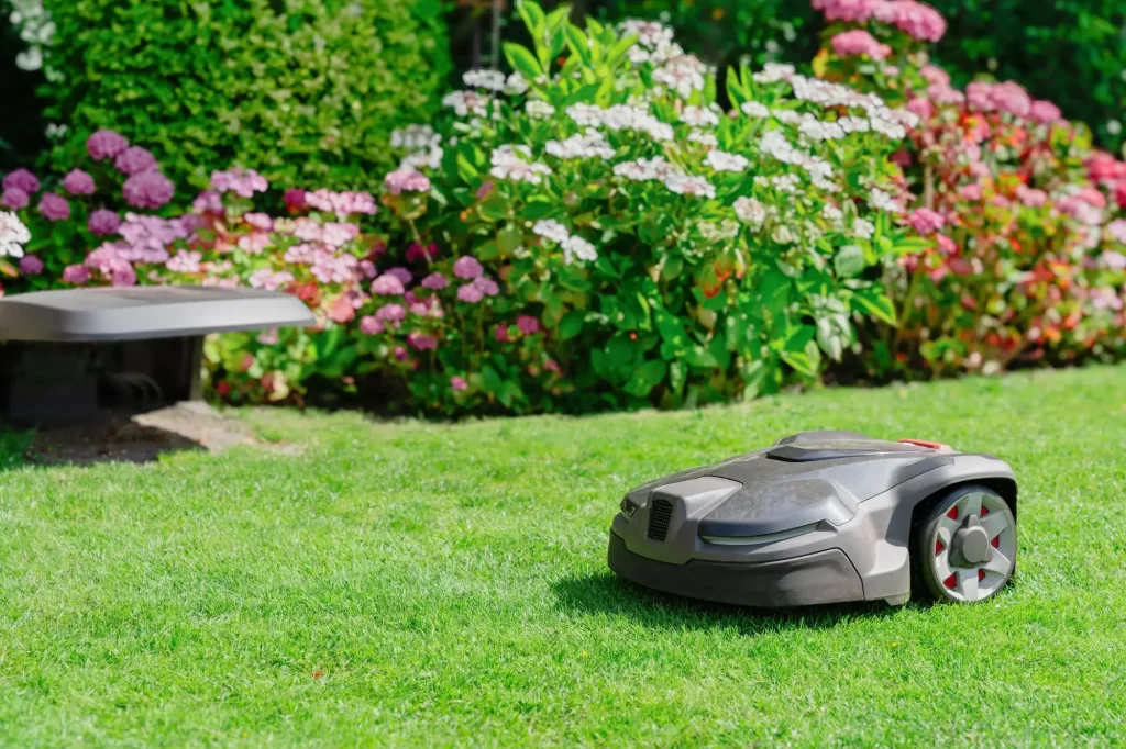 sekačka2 - Techsvět Robotická sekačka, která právě upravuje trávník v pečlivě udržované zahradě plné kvetoucích keřů.