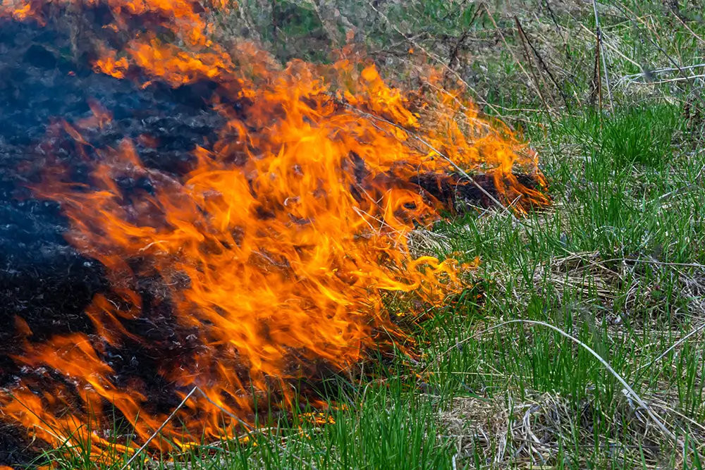Vypalování trávy na pozemcích je zakázáno. - Techsvět vypalování trávy