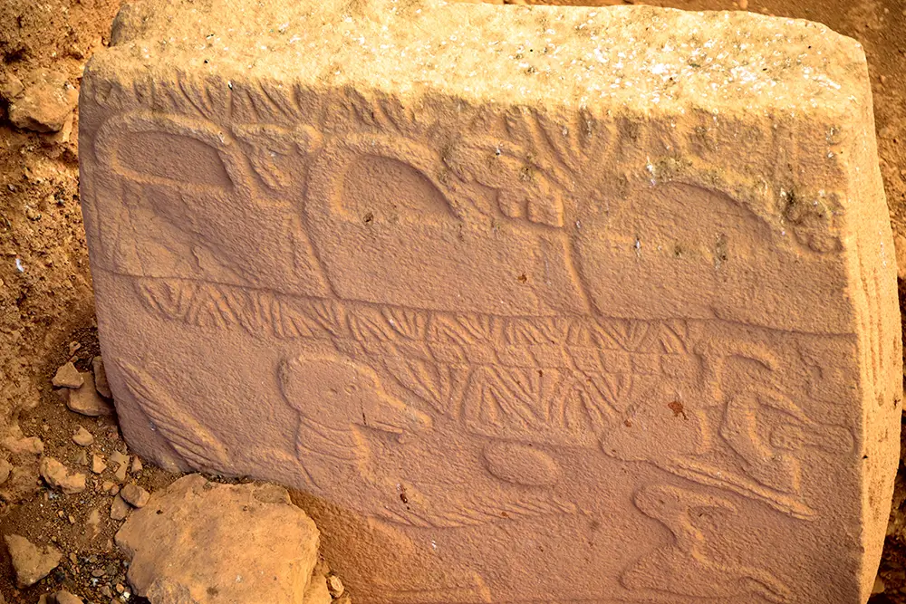 Stély zdobí řada basreliéfů znázorňujících zvířata, především býky, ale i ptáky a hmyz. - Techsvět Göbekli Tepe