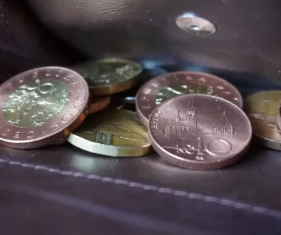 detail do peněženky, ve které jsou české mince