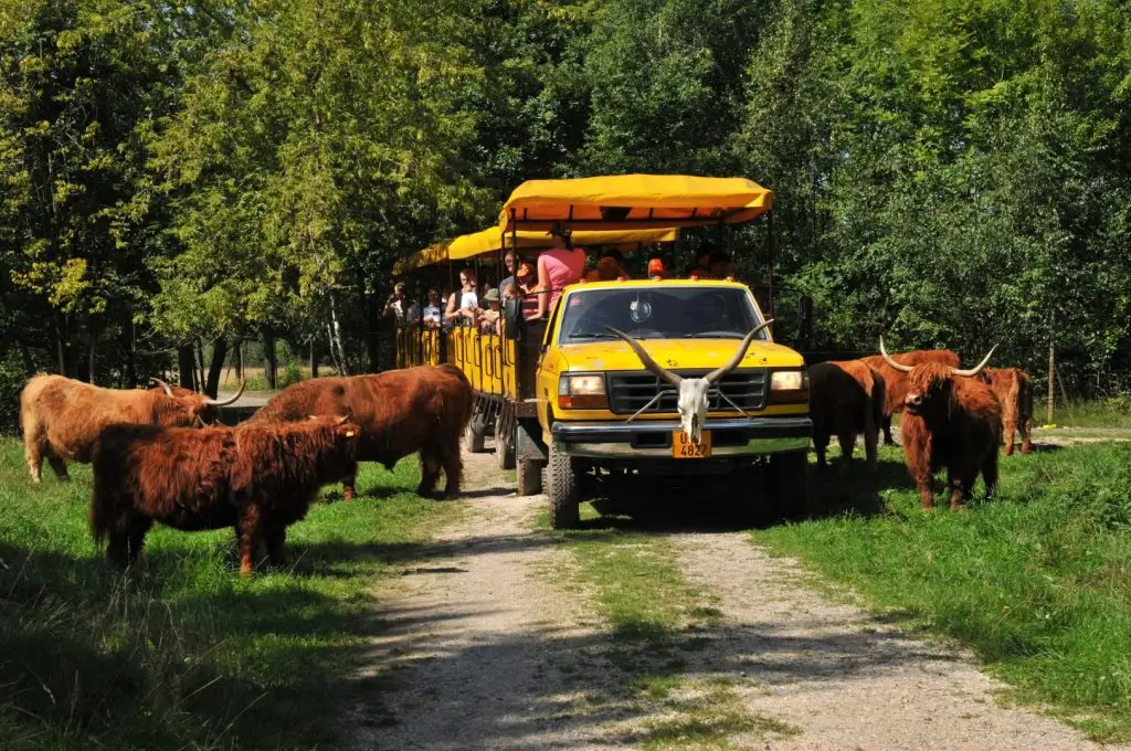 Safari-expres-Velke-1024x680 - Techsvět Safari express