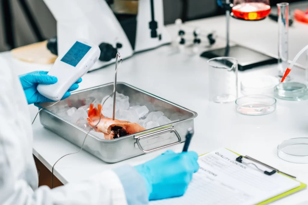 Shutterstock_1978725491 - Techsvět Veterinární test ryb