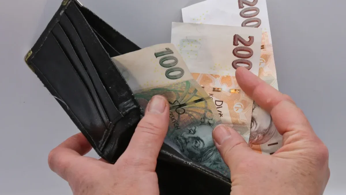 Bankovky v peněžence