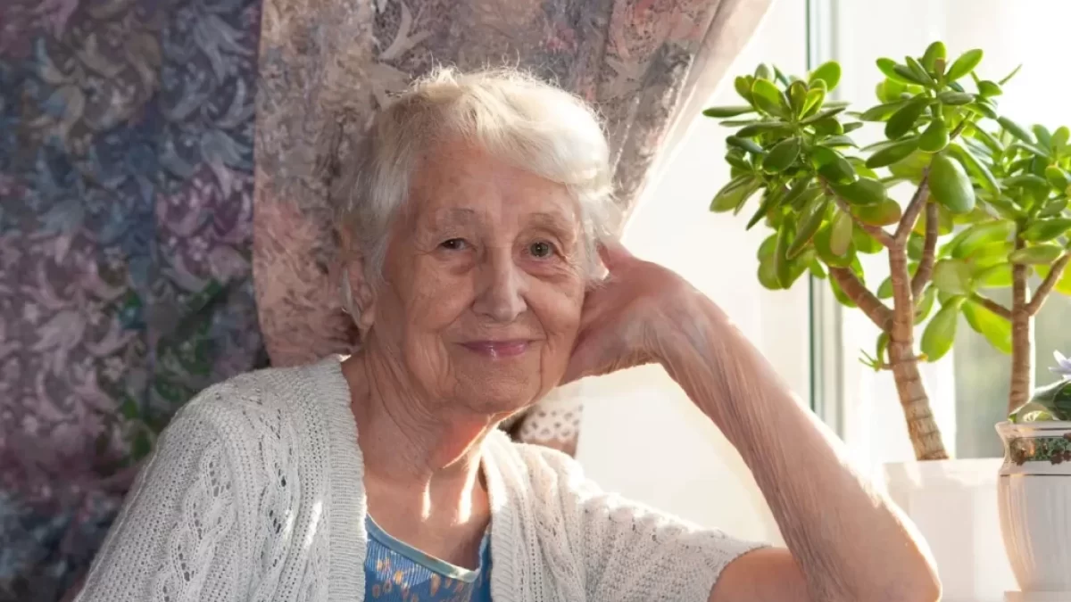 seniorka