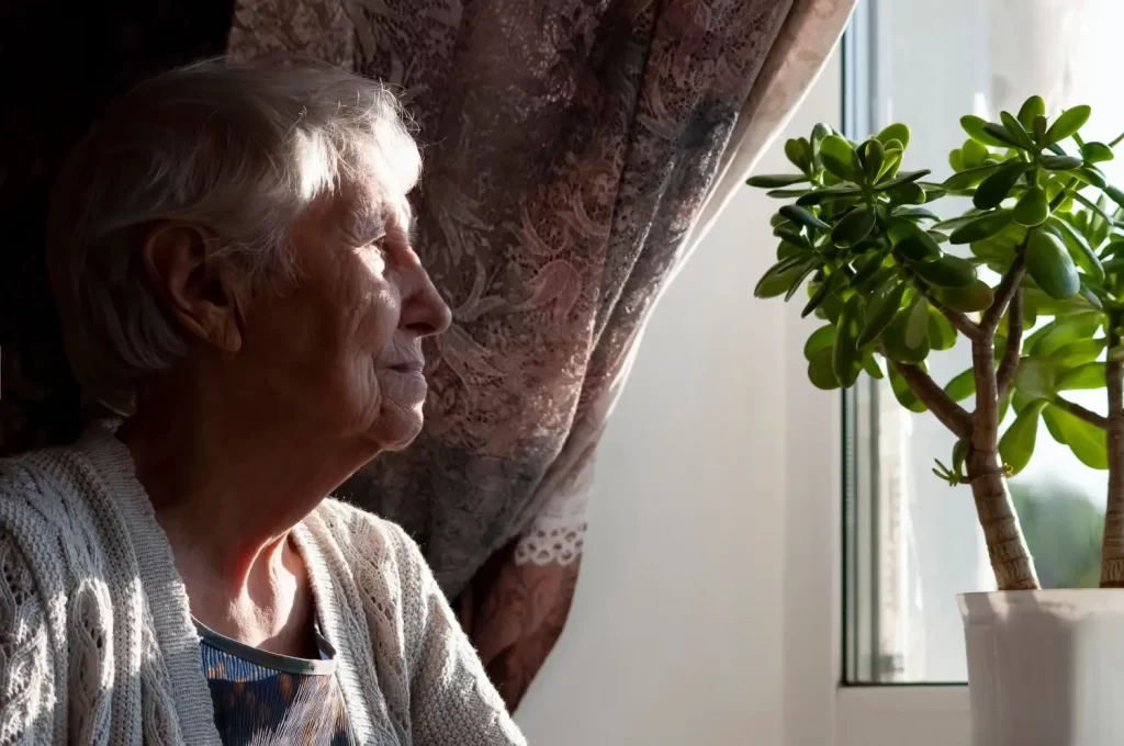 Jaký budete mít důchod? - Techsvět seniorka