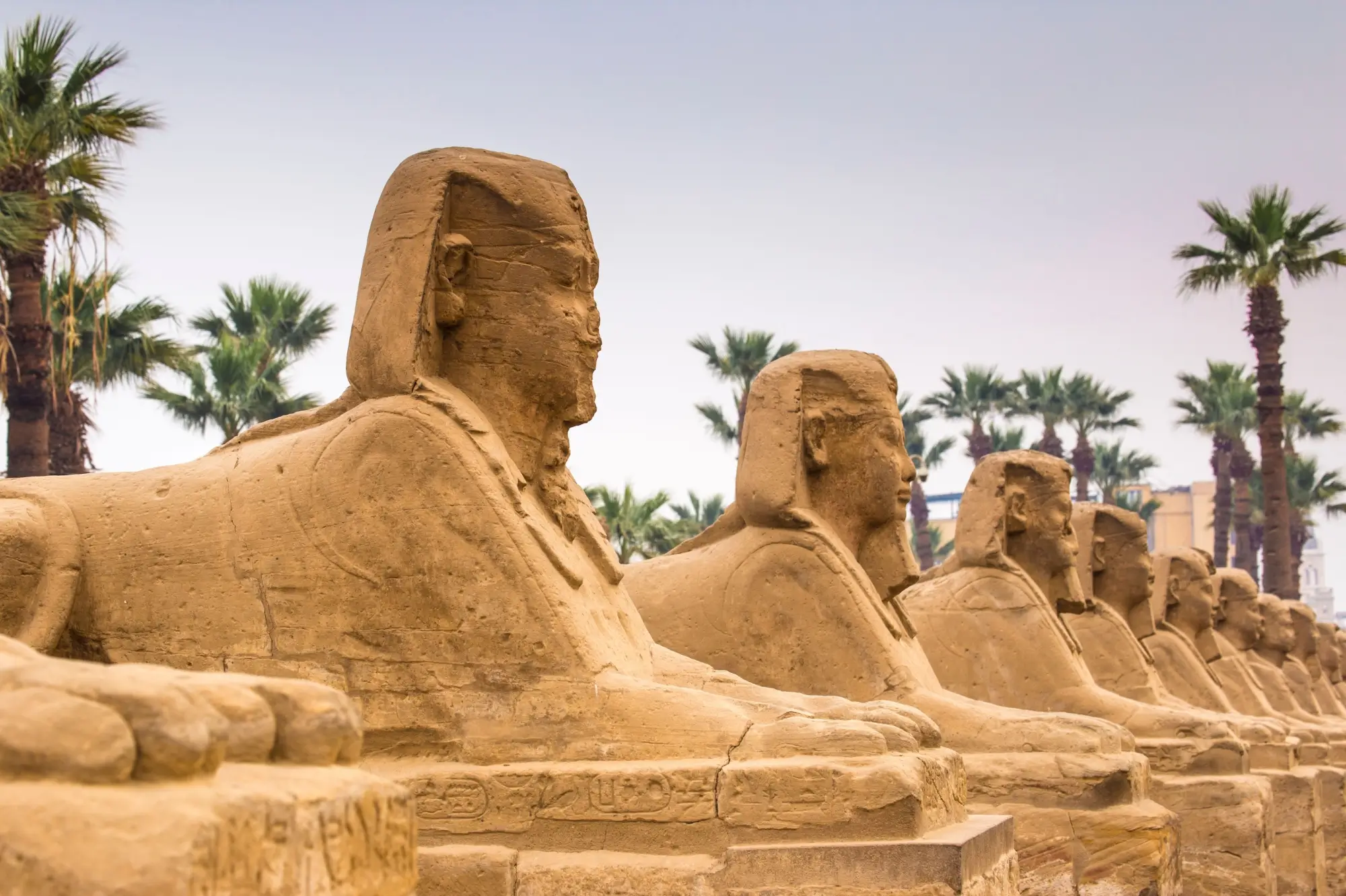 Shutterstock_2445325703 - Techsvět Egypt starověký