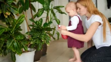 Pokojovky jsou nejenom krásnou, ale i užitečnou součástí interiérů.