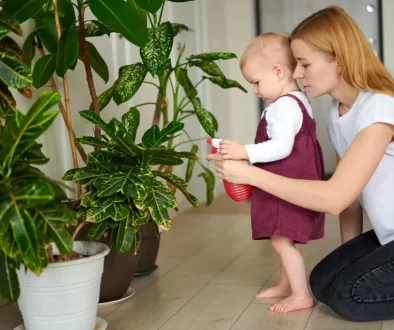 Pokojovky jsou nejenom krásnou, ale i užitečnou součástí interiérů.