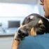 Pes u veterináře