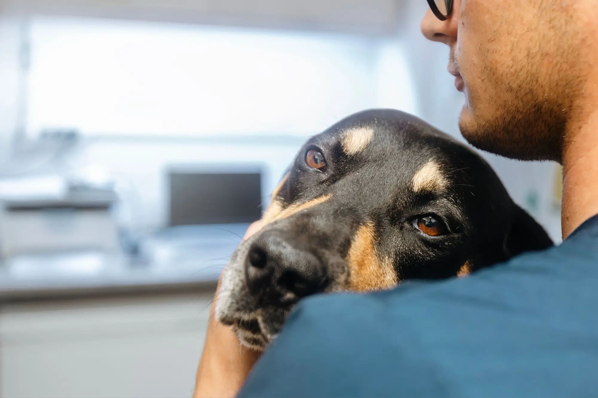 Pes u veterináře