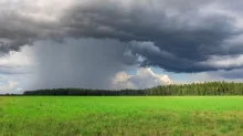 Zatažená obloha