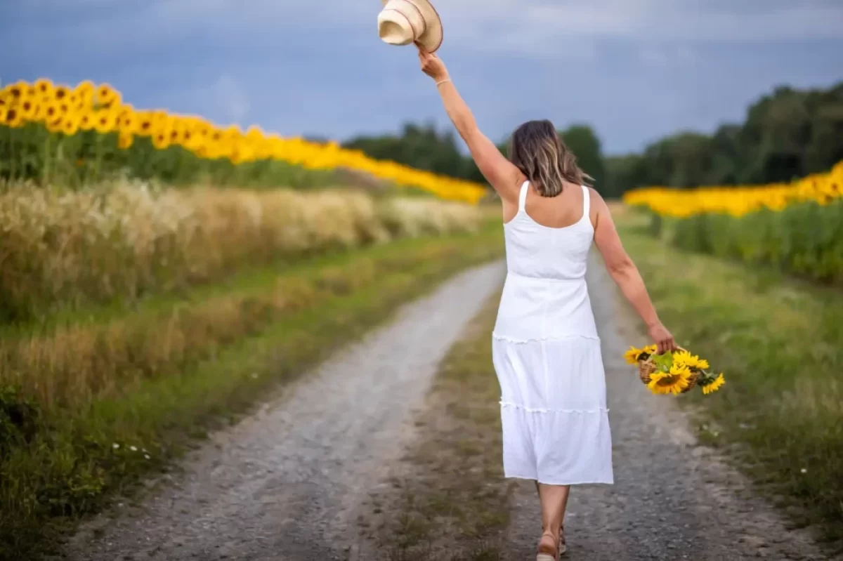 Slunečnice je nejen krásná, ale i užitečná majestátní květina. Zdroj