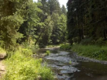 údolí řeky Střely