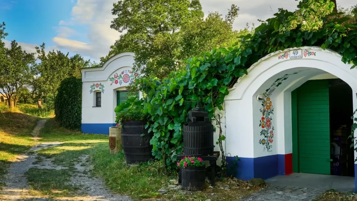 tradiční moravské vinné sklepy z památkové rezervace Plže v obci Petrov.