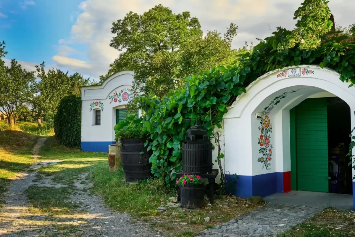 tradiční moravské vinné sklepy z památkové rezervace Plže v obci Petrov.