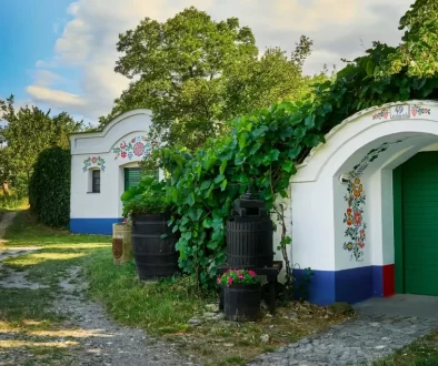 tradiční moravské vinné sklepy z památkové rezervace Plže v obci Petrov.