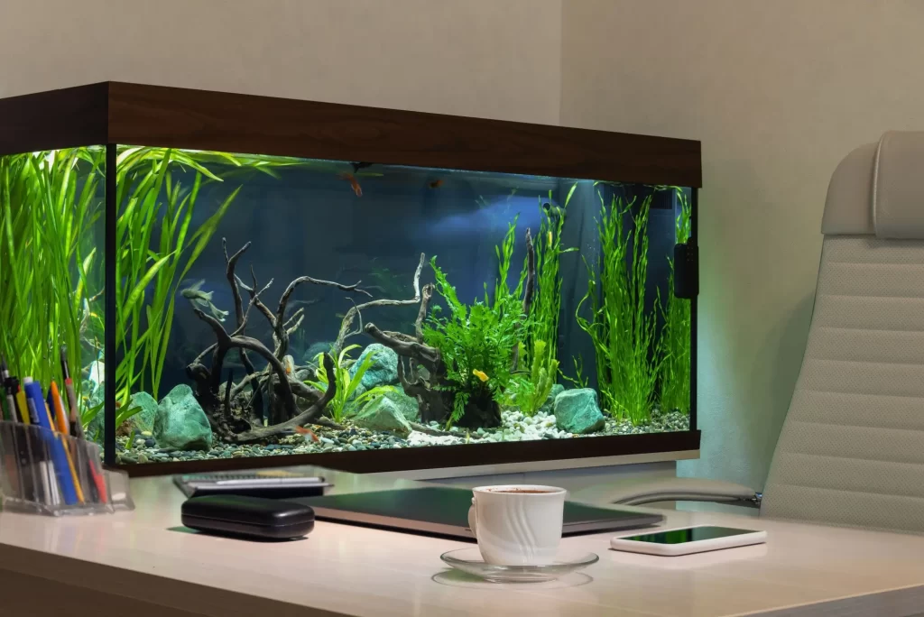 ryby2 - Techsvět Elegantní akvárium umístěné přímo na kancelářském stole vedle šálku kávy, tužek a elektroniky.