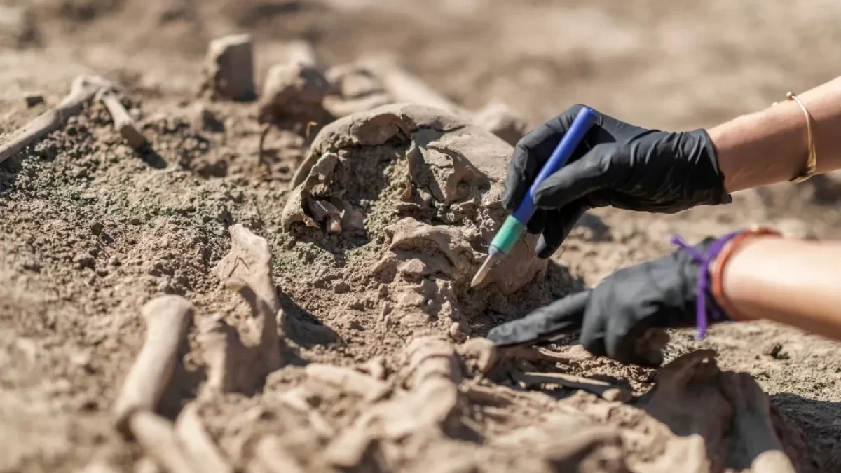 archeologický výzkum