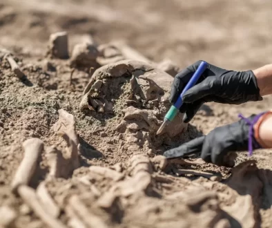 archeologický výzkum