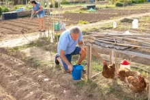 senior zakopává vejce