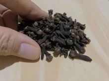 ženská ruka sahá po hřebíčku
