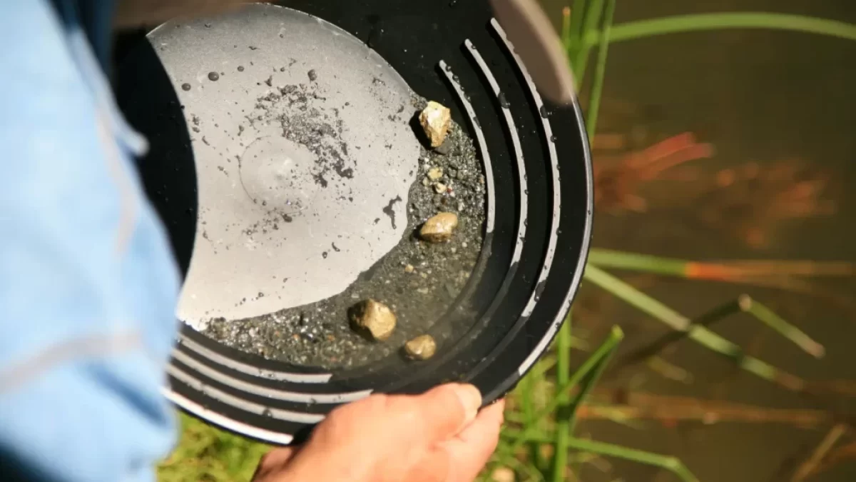 Detailní pohled na člověka, který drží rýžovací pánev nad vodou. V pánvi je vidět směs štěrku, černého písku a několik větších zlatavých kousků.