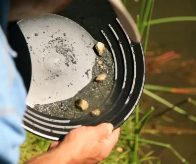 Detailní pohled na člověka, který drží rýžovací pánev nad vodou. V pánvi je vidět směs štěrku, černého písku a několik větších zlatavých kousků.