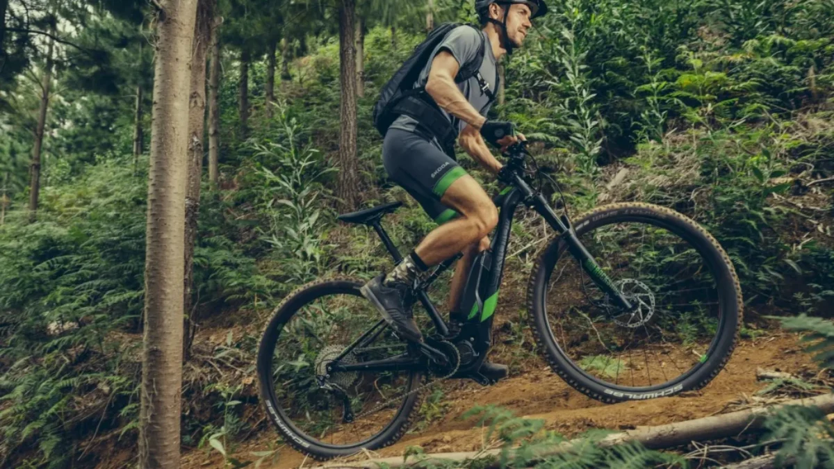 Škoda Ebike
