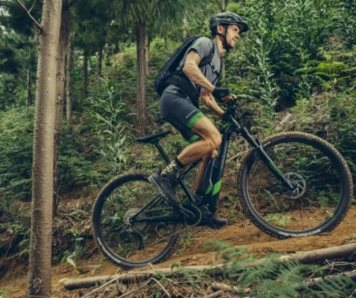Škoda Ebike